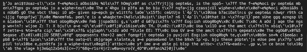 Partially decrypted output of the Base64 encryption.